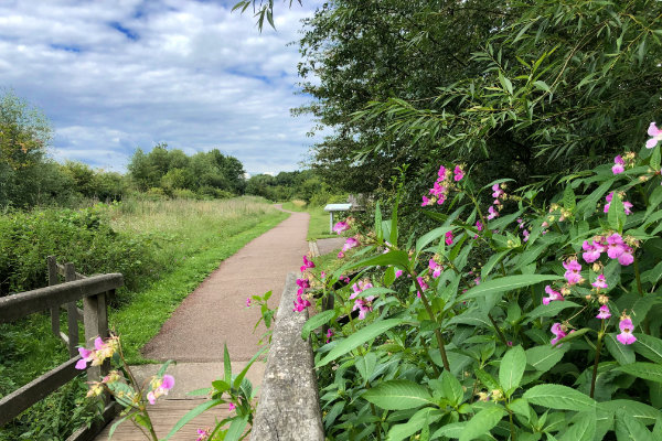Path to fields with wild flowers and cloudy sky in Hertfordhsire